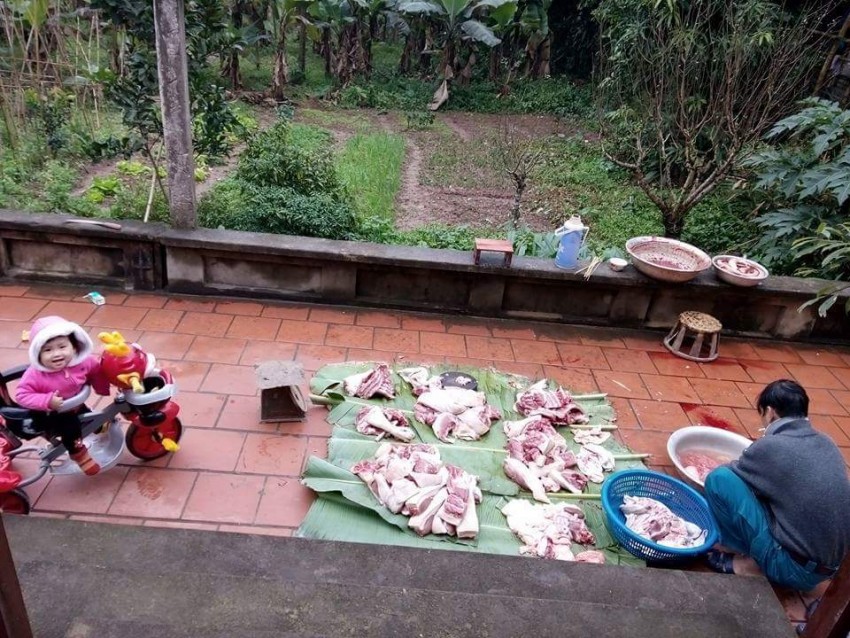 đụng lợn, không khí tết, Tết Bính Thân, gói bánh chưng