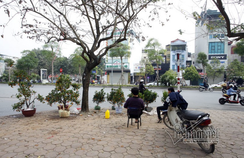 Hà Nội khác lạ trước giao thừa