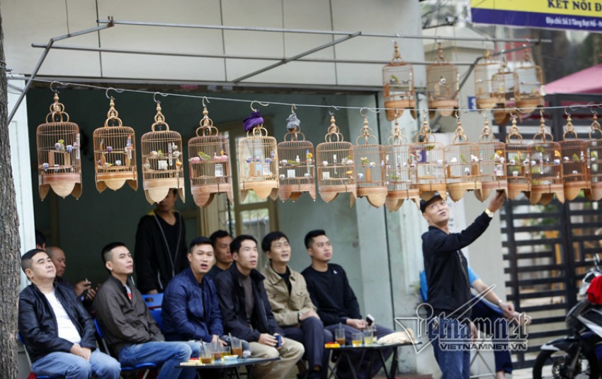 Hà Nội khác lạ trước giao thừa