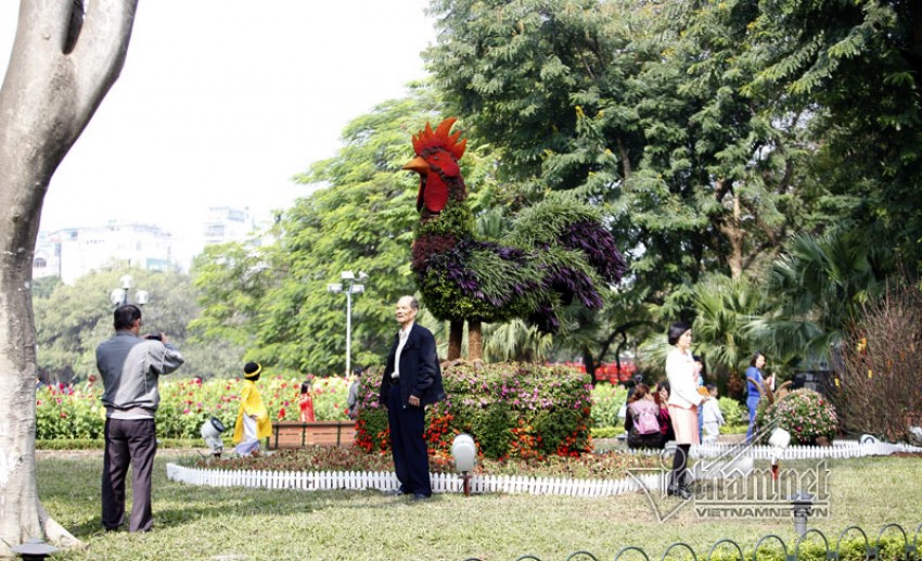 Hà Nội khác lạ trước giao thừa
