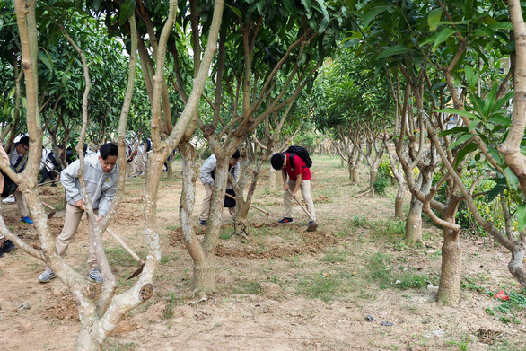 Thử nghiệm cách dạy mới xong, kinh nghiệm là gì?