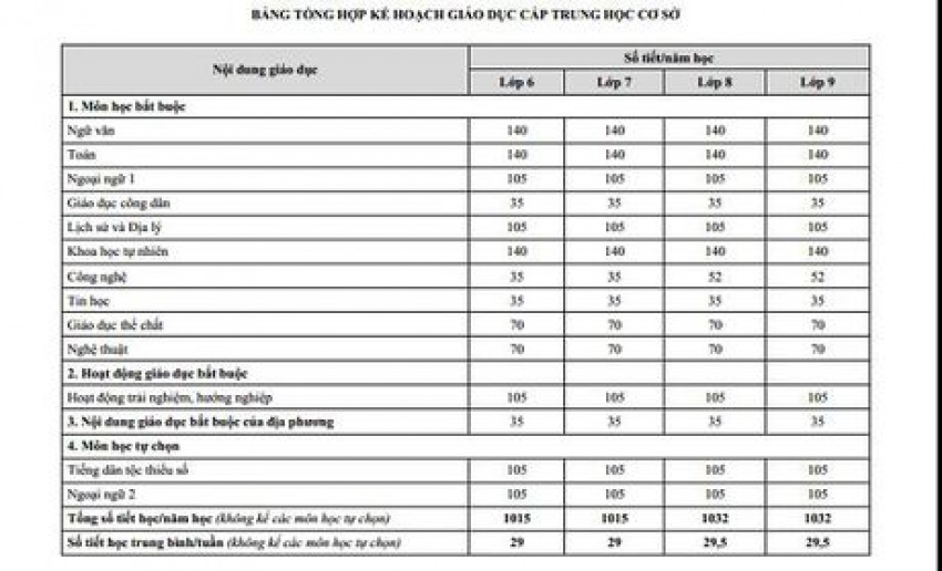 Chuong trinh giao duc pho thong tong the: Buoc tien moi cua giao duc Viet Nam? - Anh 3