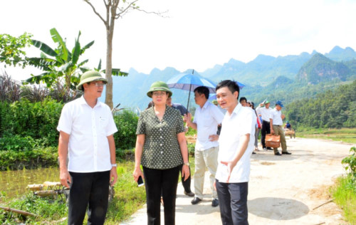 Thứ trưởng Lê Hải An – một tài năng, chân tình và nhân cách