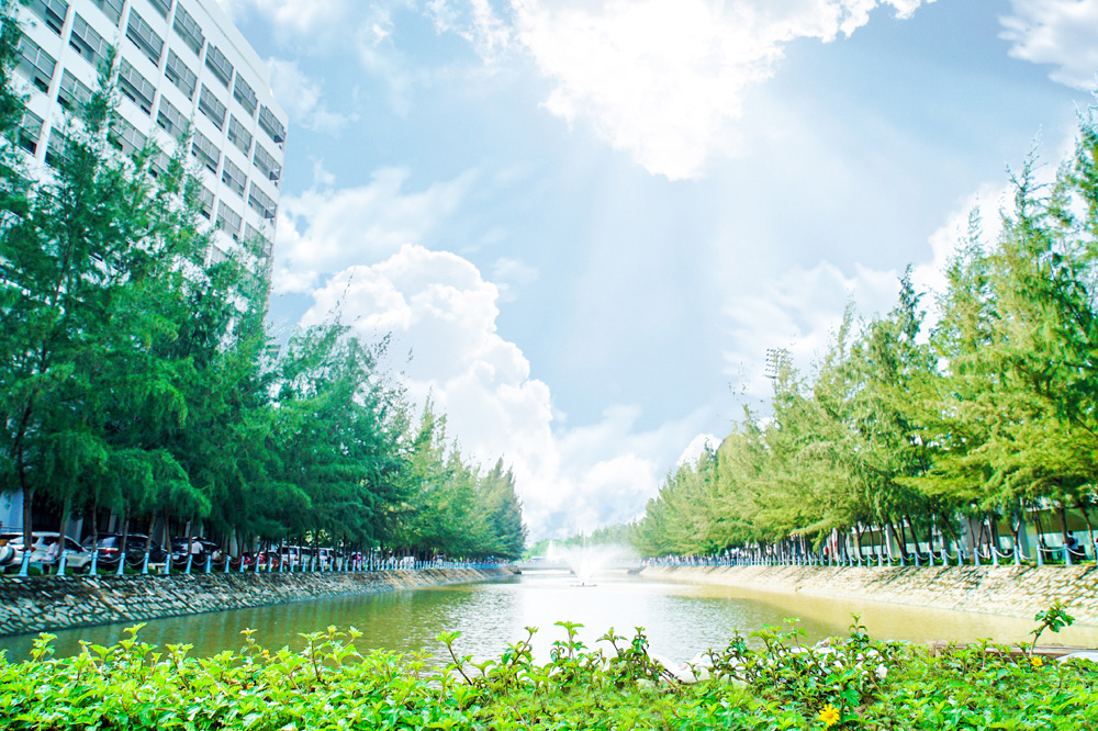Ứng dụng công nghệ thân thiện môi trường để kiểm soát chất lượng nước kênh rạch tại Đại học Tôn Đức Thắng